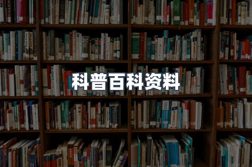 外文电子书系列